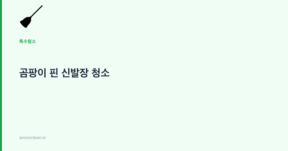 곰팡이 핀 신발장 청소