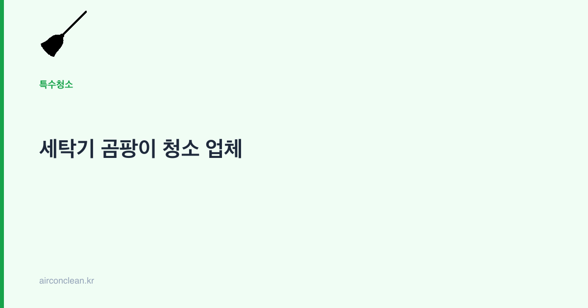 세탁기 곰팡이 청소 업체