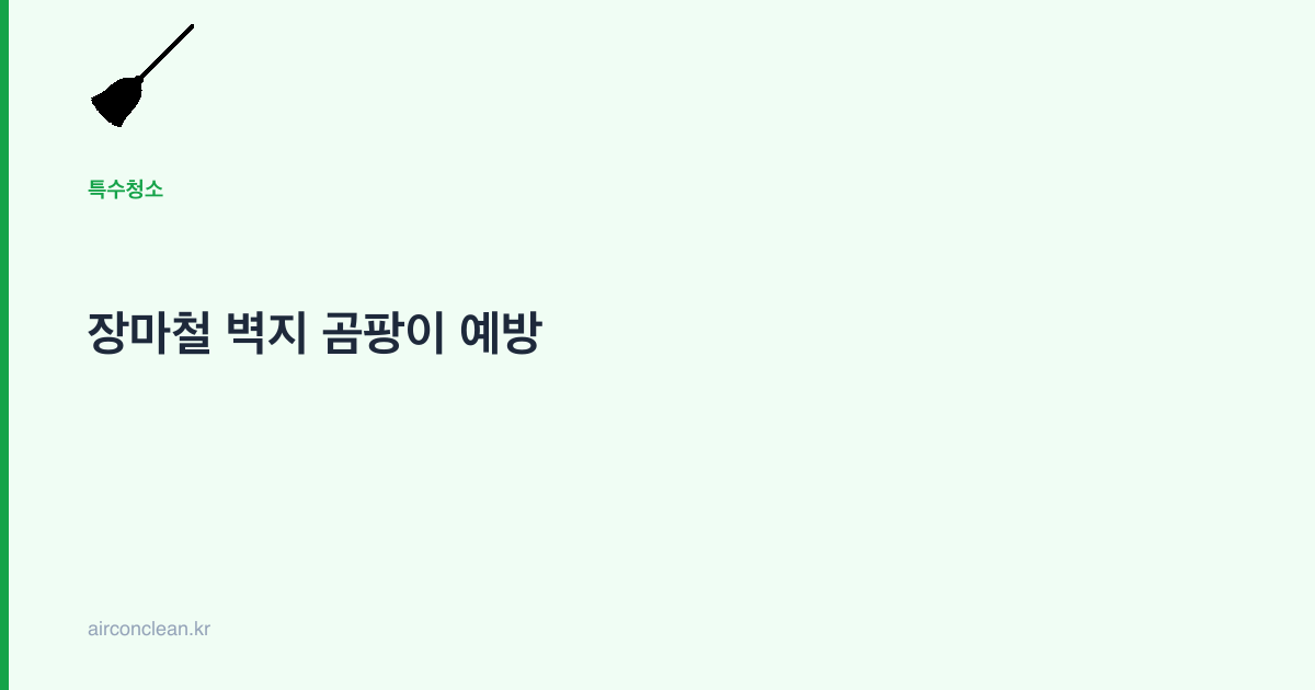 장마철 벽지 곰팡이 예방