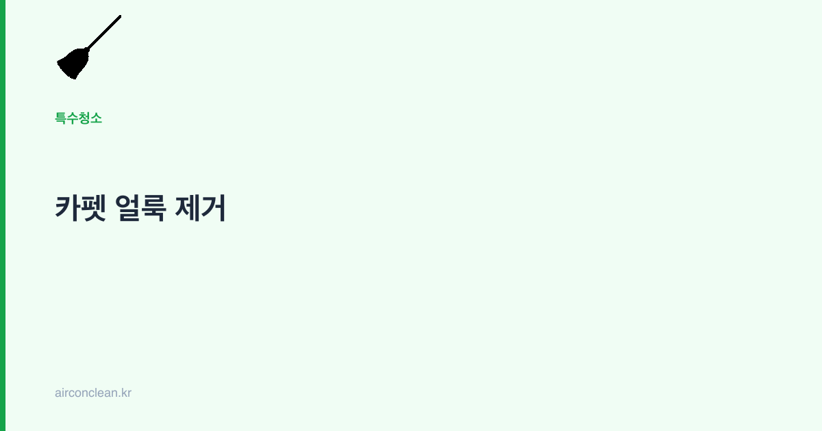 카펫 얼룩 제거