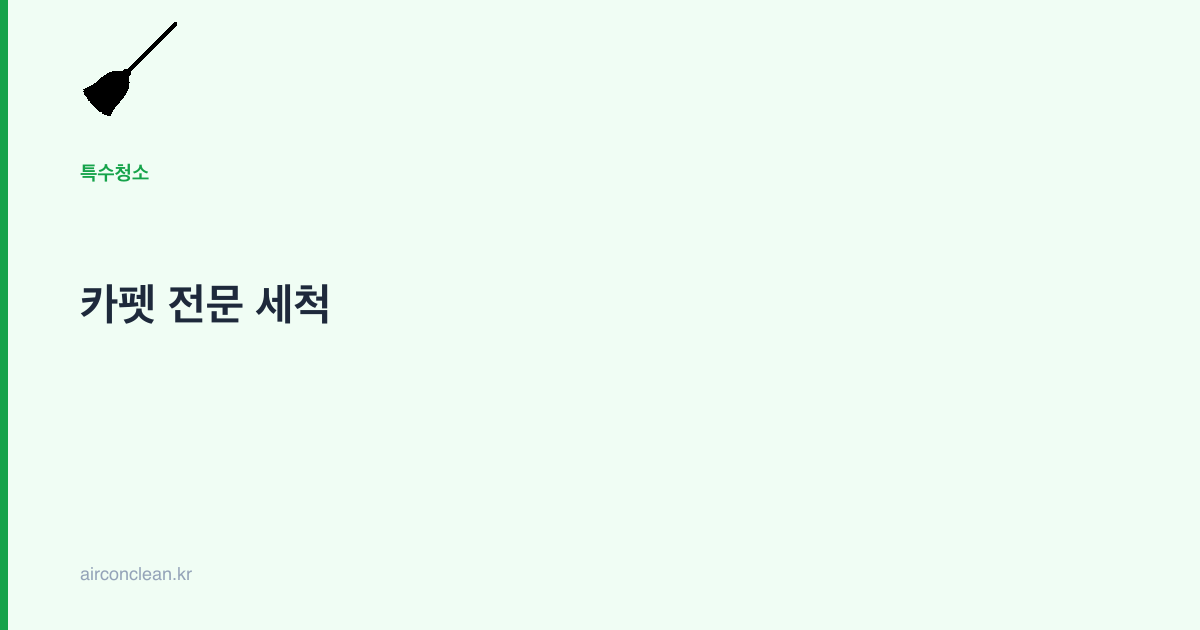 카펫 전문 세척